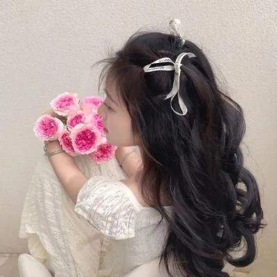 波士顿布莱奇控告嫌疑人
